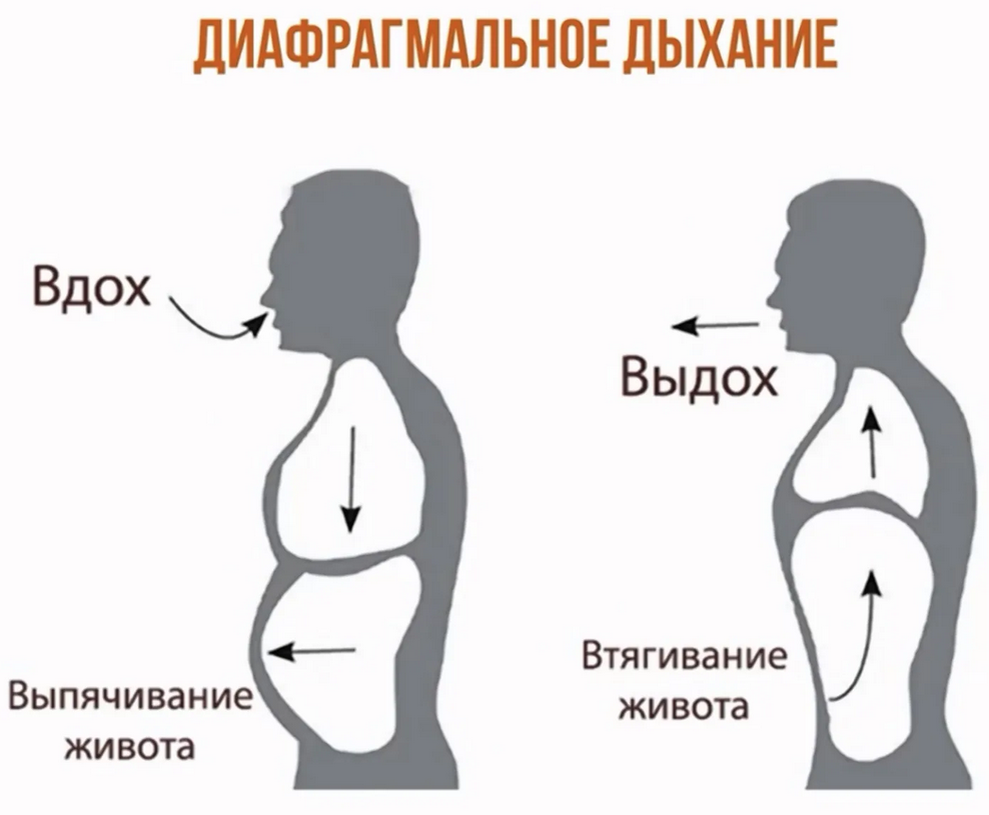 Объемное дыхание. Дыхание животом диафрагмальное дыхание. Дыхательная техника «брюшное дыхание». Брюшное абдоминальное дыхание. Дышать животом.