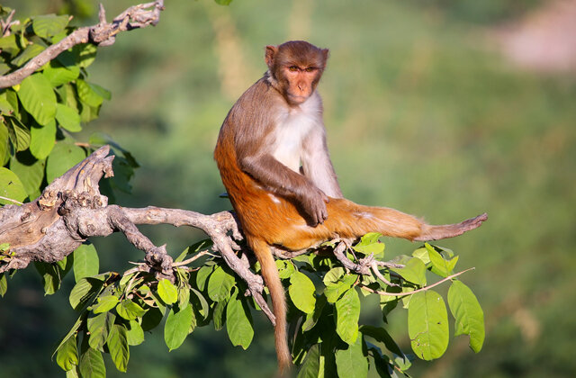     Фото: Shutterstock.com