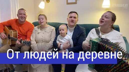 Пташица ансамбль гармонь в прямом эфире у вани на диване