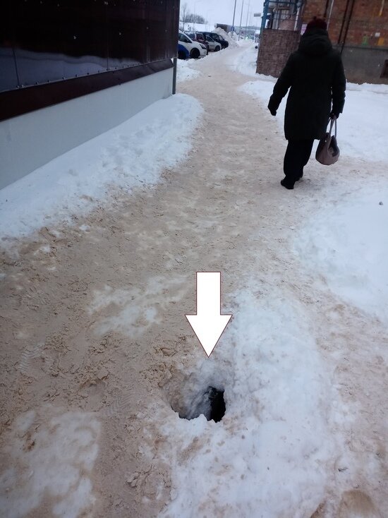     Фото: сообщество «Подслушано Великие Луки» в социальной сети «ВКонтакте»