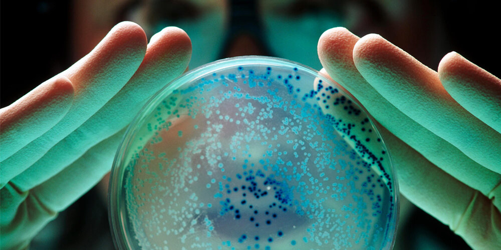 ФОТО: из открытых источников