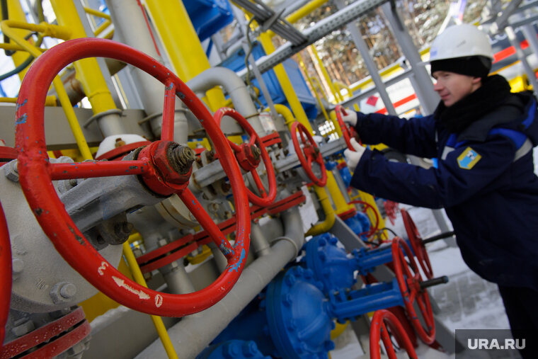    В Венгрии выступили против введения потолка на российский газ