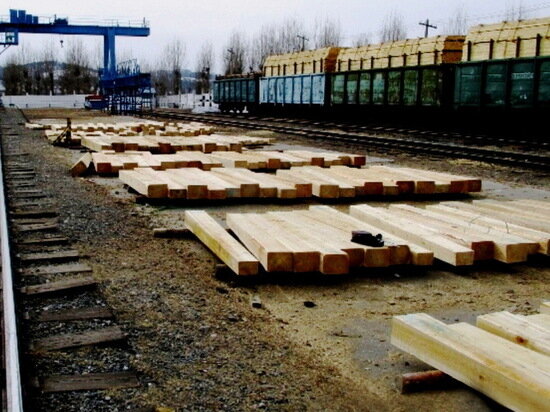     фото: пресс-служба Бурятской таможни