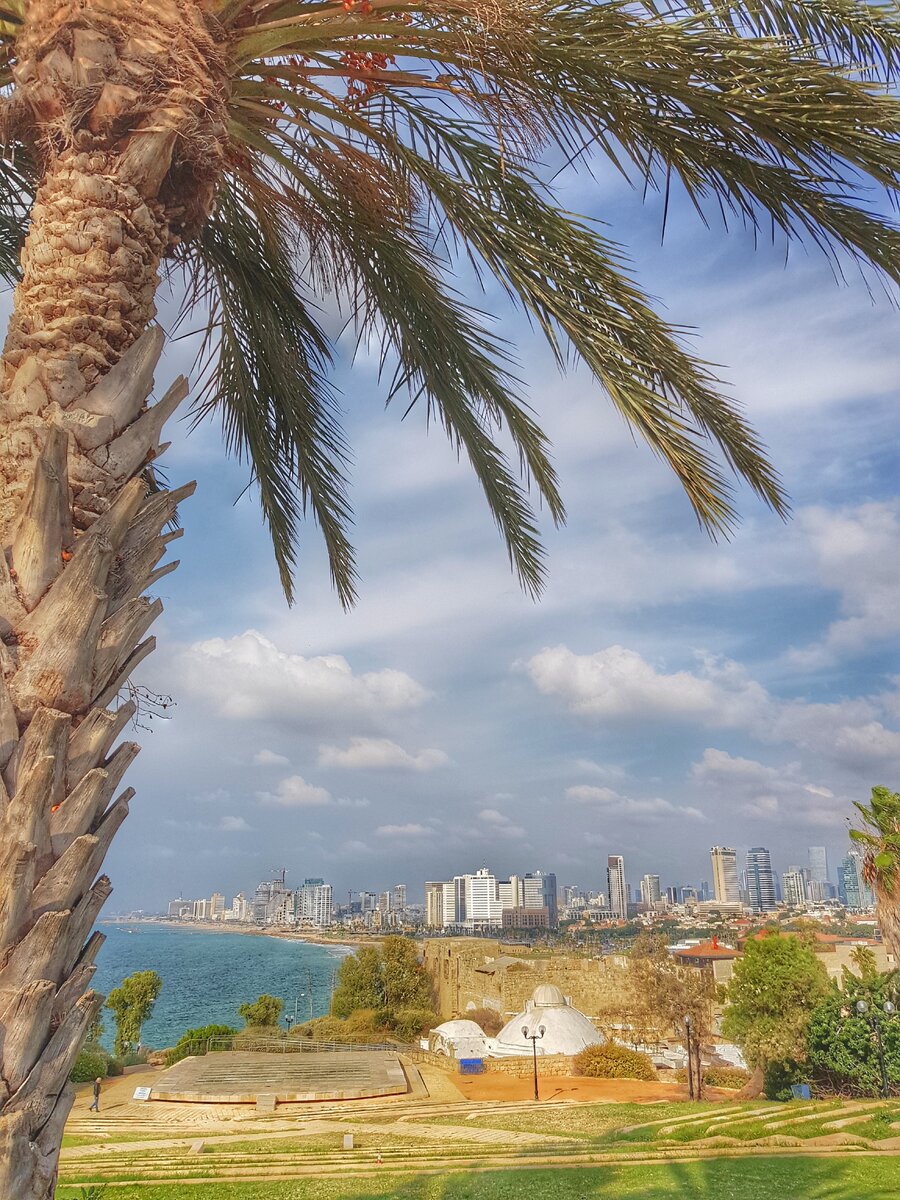 Tel-Aviv, Яффо