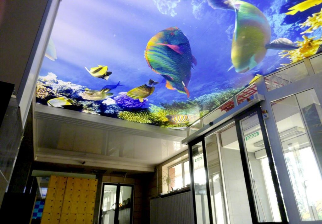 [caption id="attachment_11383" align="alignnone" width="1024"] LEAD Technologies Inc. V1.01[/caption]