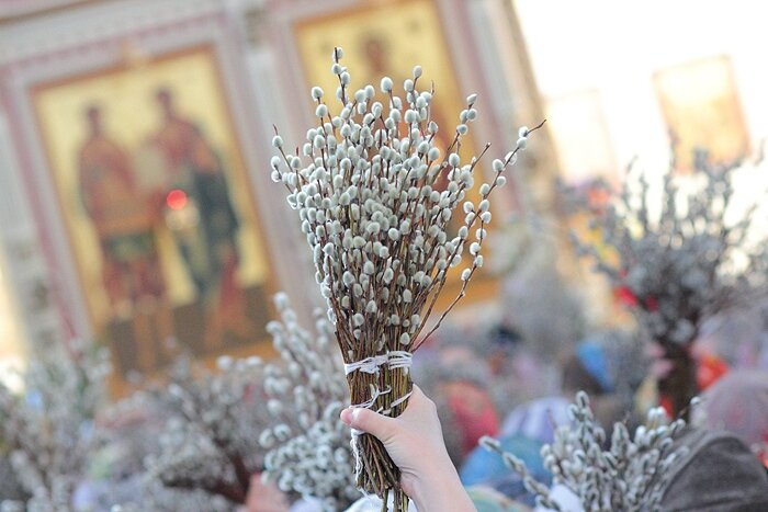 Вербная неделя что можно и нельзя. Верба храм. Верба храм Рождества Христова Краснодар. С Вербным воскресеньем. Верба освященная.