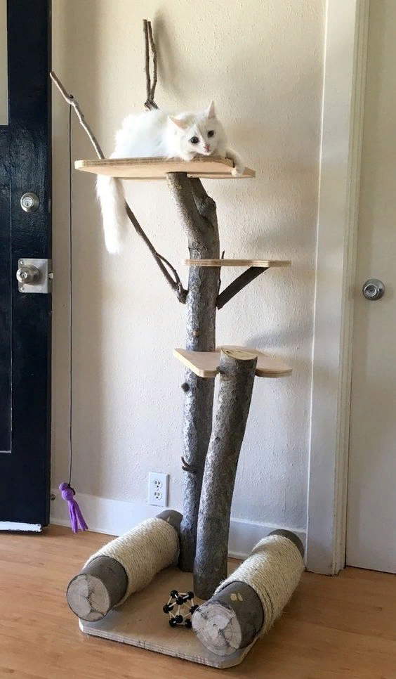 Кошачий домик лазалка. Кошачья лазалка дерево. Кошачья когтеточка. Когтеточка дерево для кошек. Самодельный кот