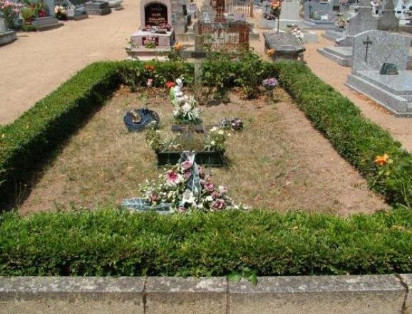 Источник Яндекс фото.