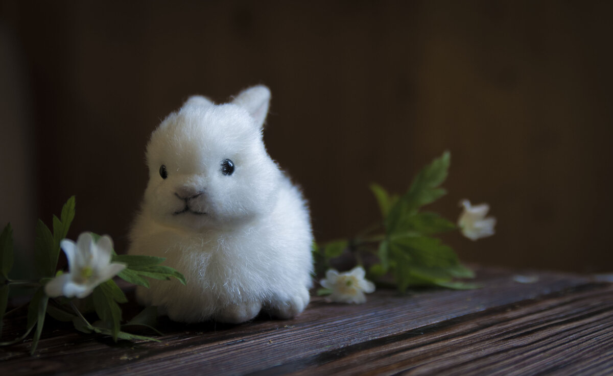 вот что у меня получилось, по-моему очень мило