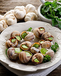 Слова виноградная улитка у современного городского жителя скорее вызывают ассоциации с аквариумами, чем с кулинарией. Однако во многих странах Европы и Азии улитки – это привычный пункт в меню ресторанов. Виноградных улиток разводят на фермах и продают живыми или замороженными и готовыми к употреблению. В пищу употребляется даже икра улиток, напоминающая по вкусу благородные грибы. 
Виноградная улитка только в XX веке стала считаться деликатесом. На протяжении тысячелетий улитки, как и прочие моллюски, были обычной пищей обитателей прибрежных регионов Европы. С ранней весны до поздней осени улиток собирали на пляжах, в садах, в виноградниках. Они были спасением для бедняков и лакомством для знати. Сегодня виноградных улиток можно встретить не только на тёплых европейских берегах, но и в Украине, Беларуси, центральных областях России. В странах Средиземноморья хорошо развита гелицекультура – разведение съедобных улиток на специальных фермах. В России улиток разводят только в Калининградской области.