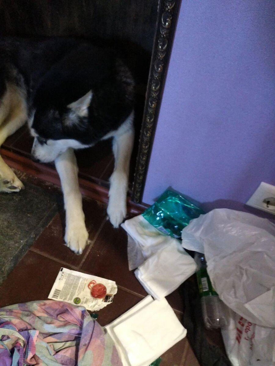 Дааа... наверное специи и влажные салфетки были вкусные