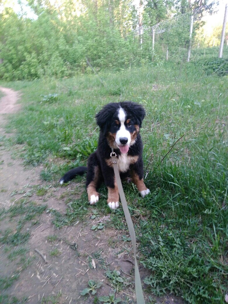 Пару недель назад