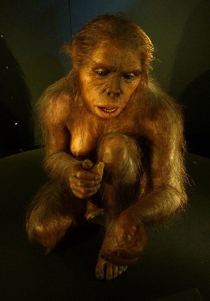 Реконструкция самки Homo Habilis (фото из Википедии)