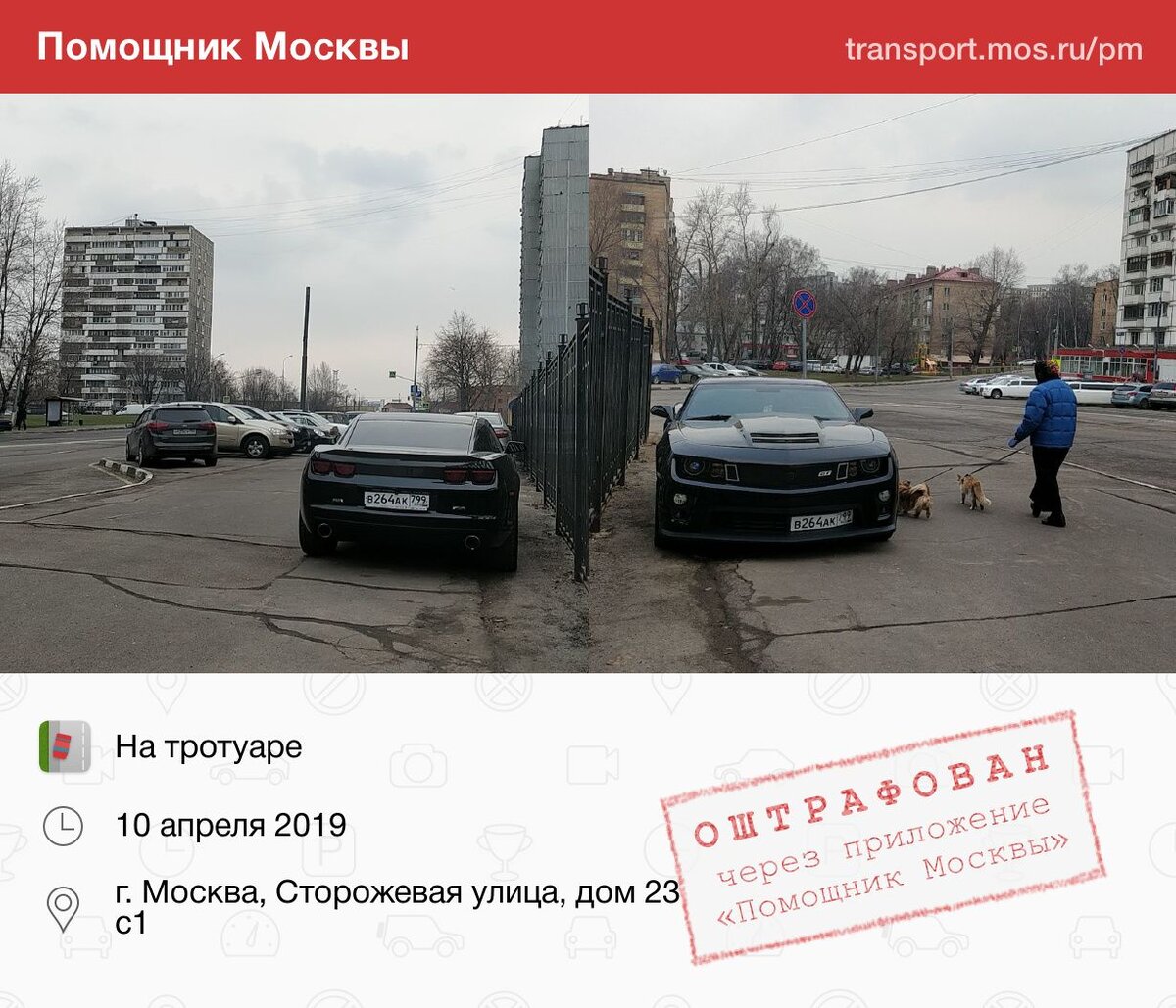 Помощник Москвы уровни