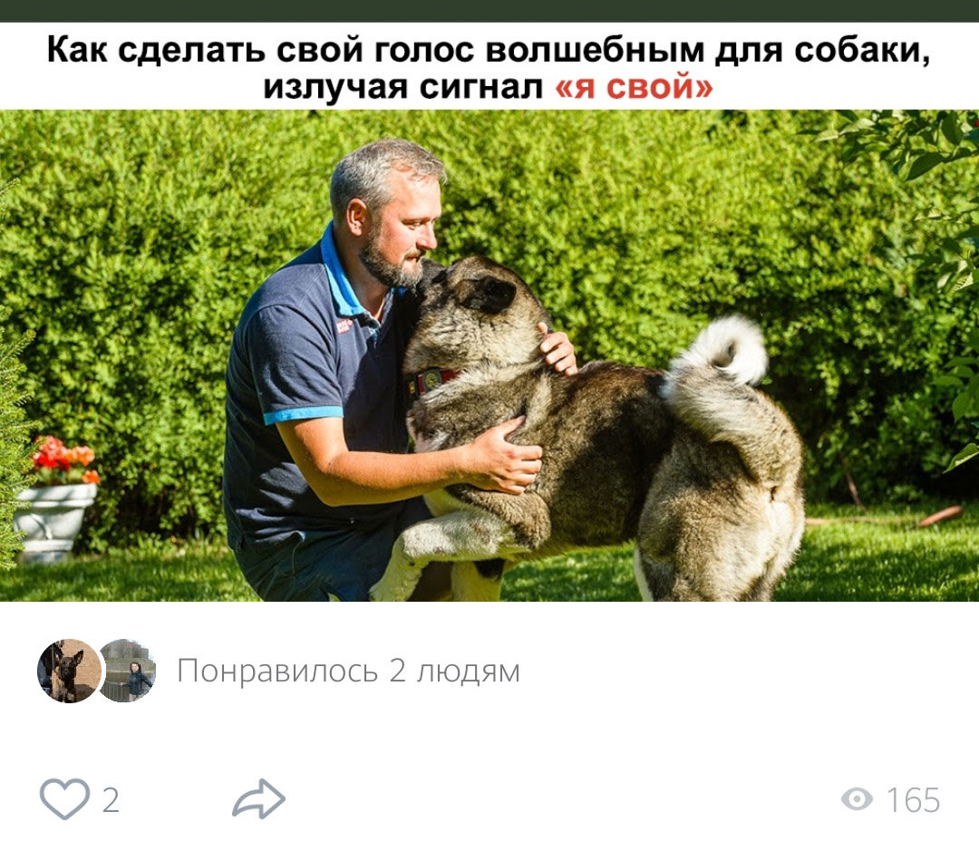 Скрин из ВКонтакте