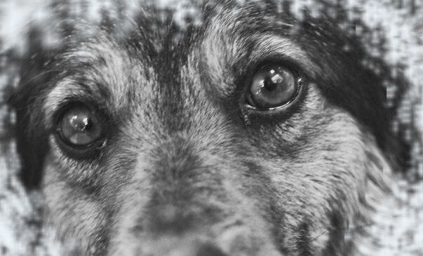 Все фото из открытых источников интернета