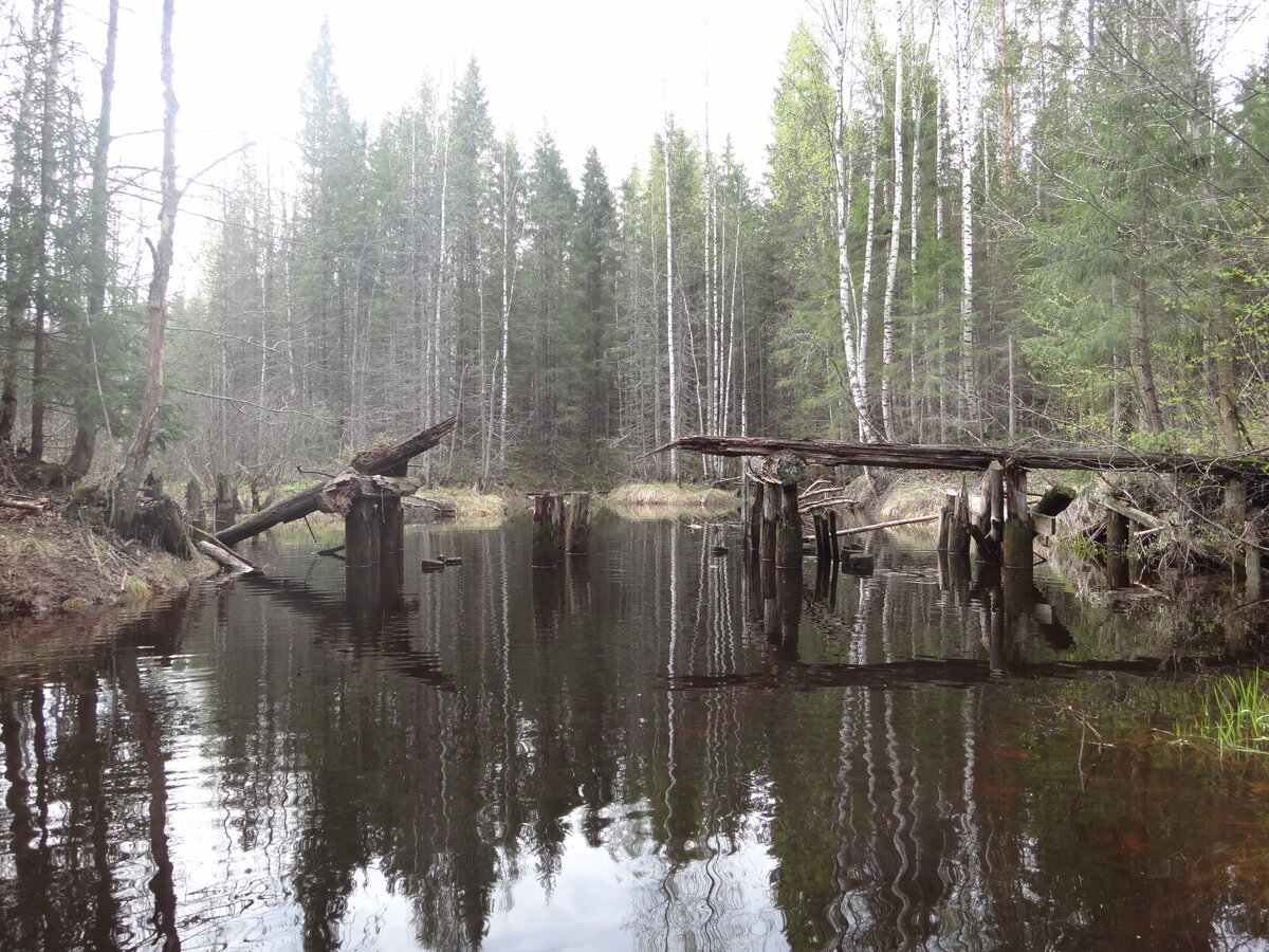 Унжлаг нижегородской области карта