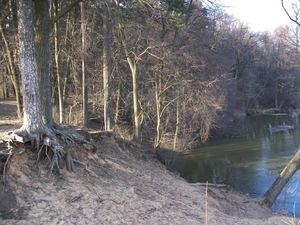 Такое Место Силы у Минска, на изгибе реки Свислочь с двумя деревами на обрыве - сосна и лиственное - они как бы обнялись, переплелись ветками и корнями, чтоб устоять и не упасть в реку.