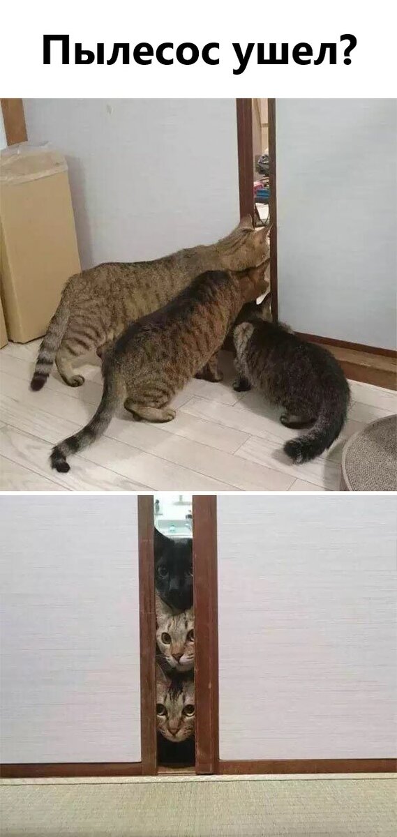 Вжжжж, это действительно страшно)