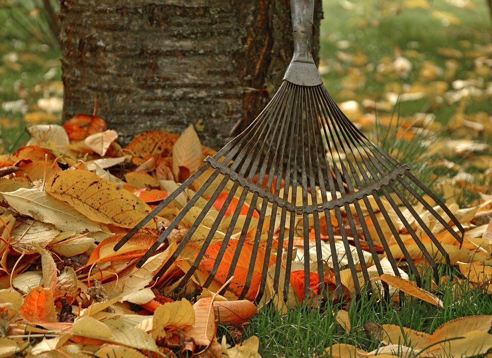 источник фото: pixabay.com