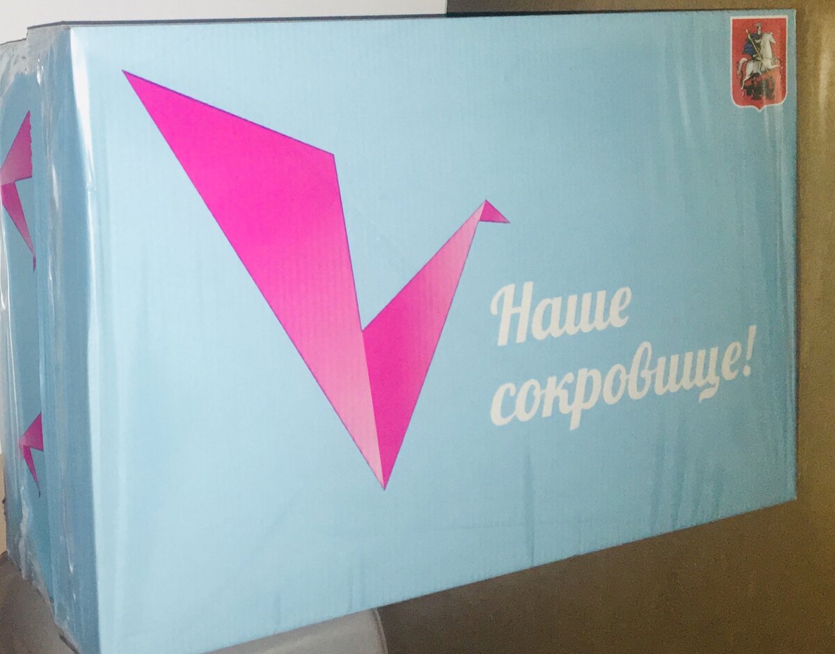 Подарок от Собянина. Фото автора Дзен канала Растим много детей 