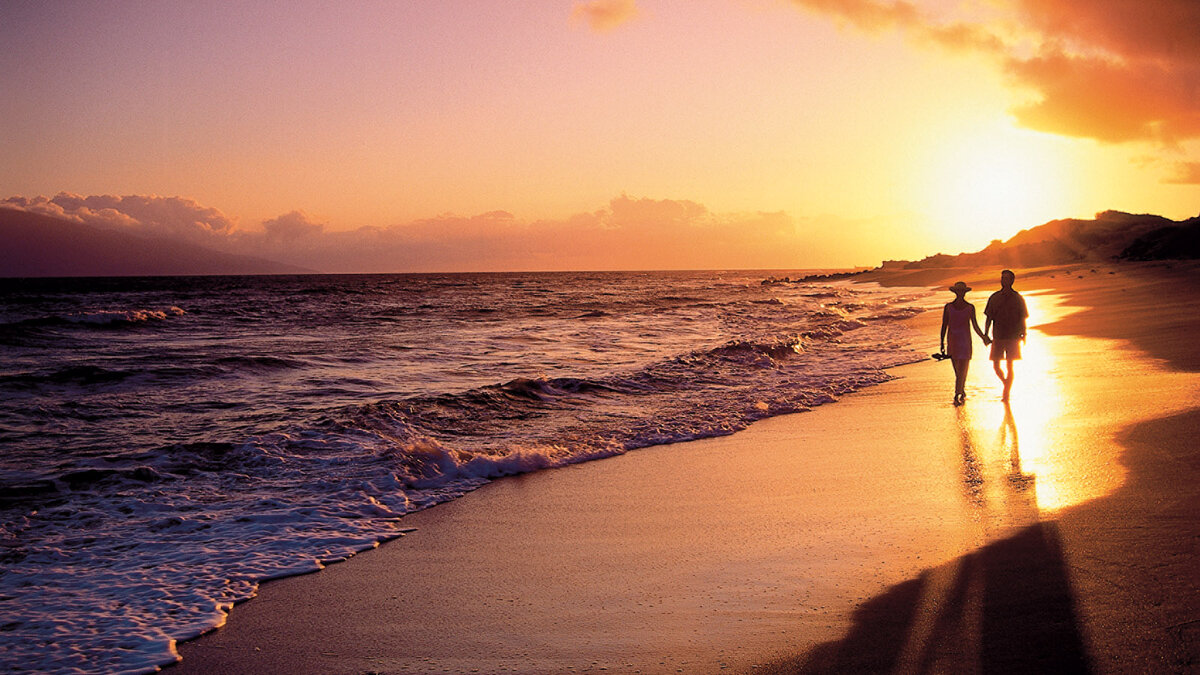 Фото: Яндекс.Картинки