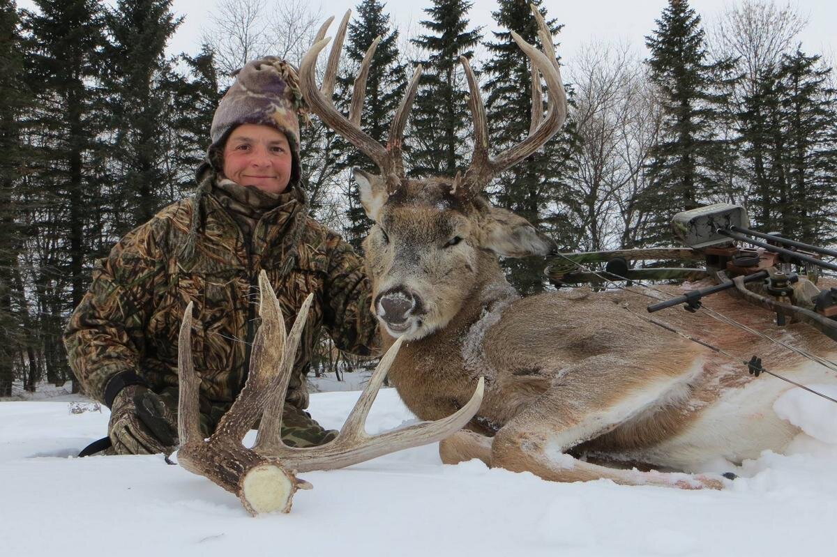 АВТОР СТАТЬИ: КАРЕН РЕНЕ СЕДЖИНАК