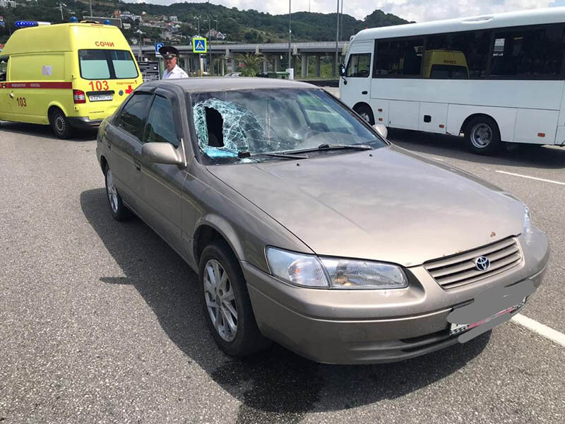 Фото: отделение по пропаганде безопасности дорожного движения ОГИБДД УВД Сочи