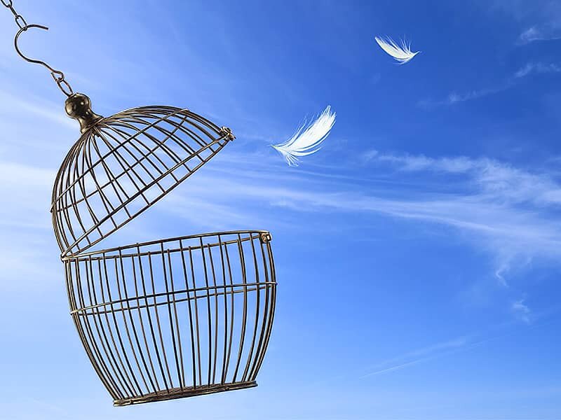 Источник: Интернет