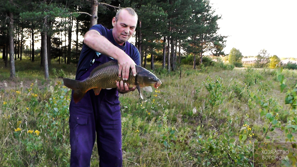 Подводная камера для рыбалки сделать своими руками