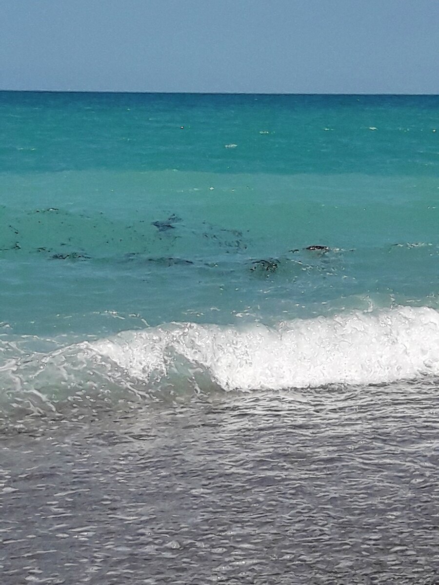 Погода в абхазии сейчас море вода. Черное море Абхазия. Черное море Алахадзы. Алахадзы Абхазия. Цвет моря в Абхазии.