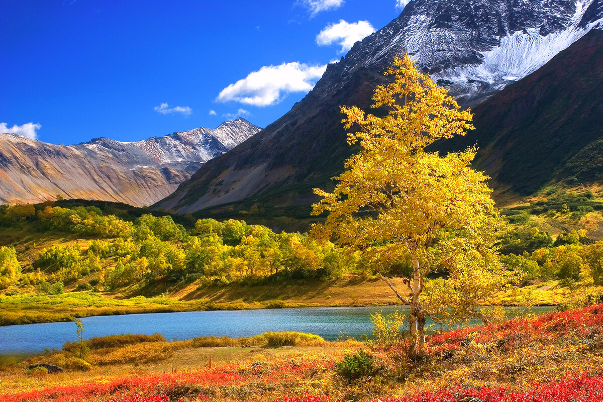 Источник: depositphotos.com