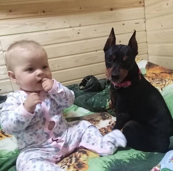 С раннего детства с собакой 