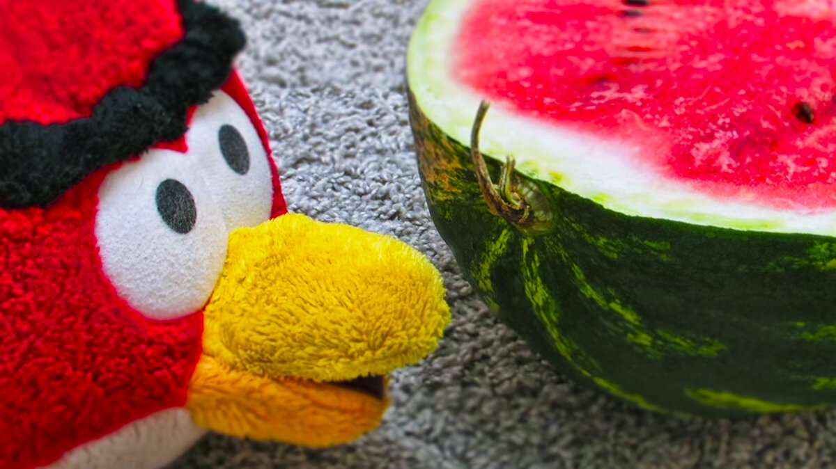 Хвостик должен быть сухим.