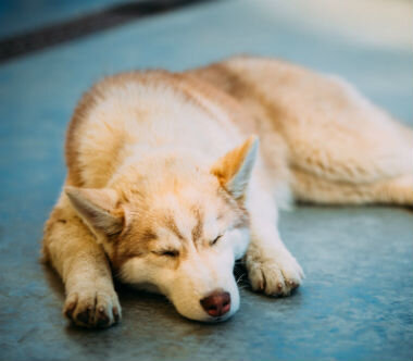 Консервативное лечение: