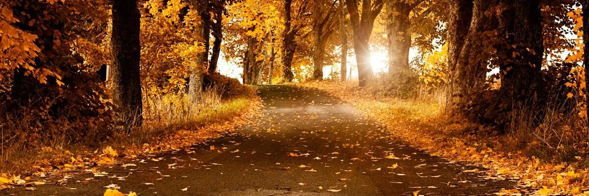 Осень - ответ на вопросы, Вчерашние будни и встреча с лицом,
Осень, он скажет, заноза,
Но это корабль ударяющий лбом

Я поднимаю руку наивно туда,
откуда падают листья,
Туда, откуда берётся начало
И поднимается  звездами явный ответ

Осень открыла возможность
Смотреть без упора.
Нацарапано мелом
Новая кровь