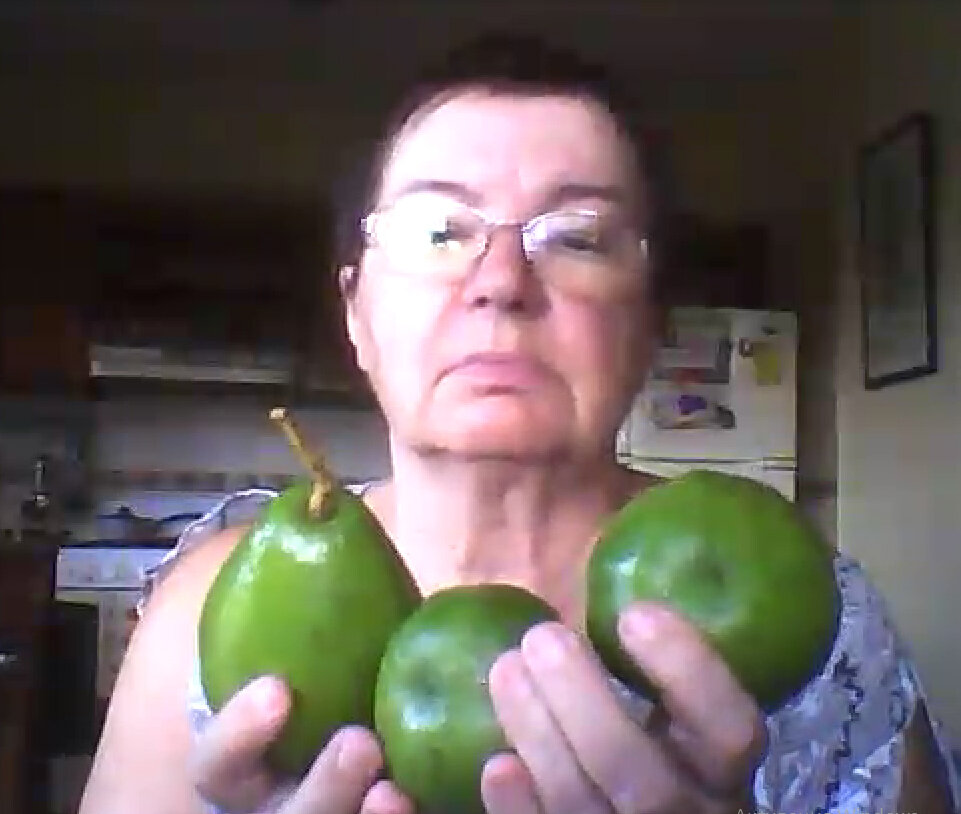 Авокадики не для раздора, а для правильного питания!