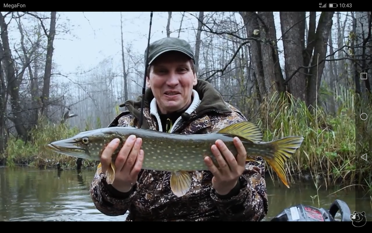 Фото взято с проекта "Малые реки черноземья" 