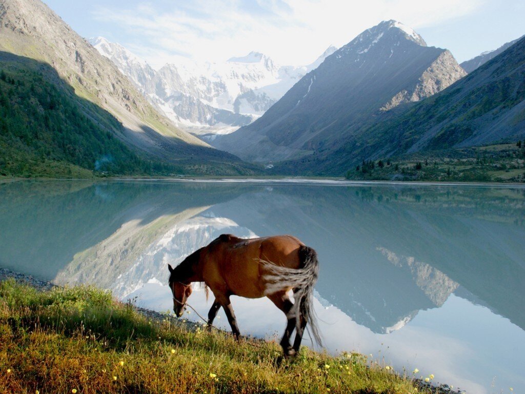 Алтай 