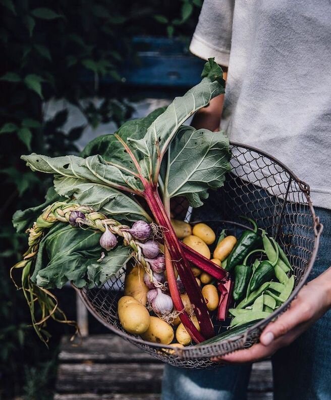 Растительная пища-залог здорового кишечника