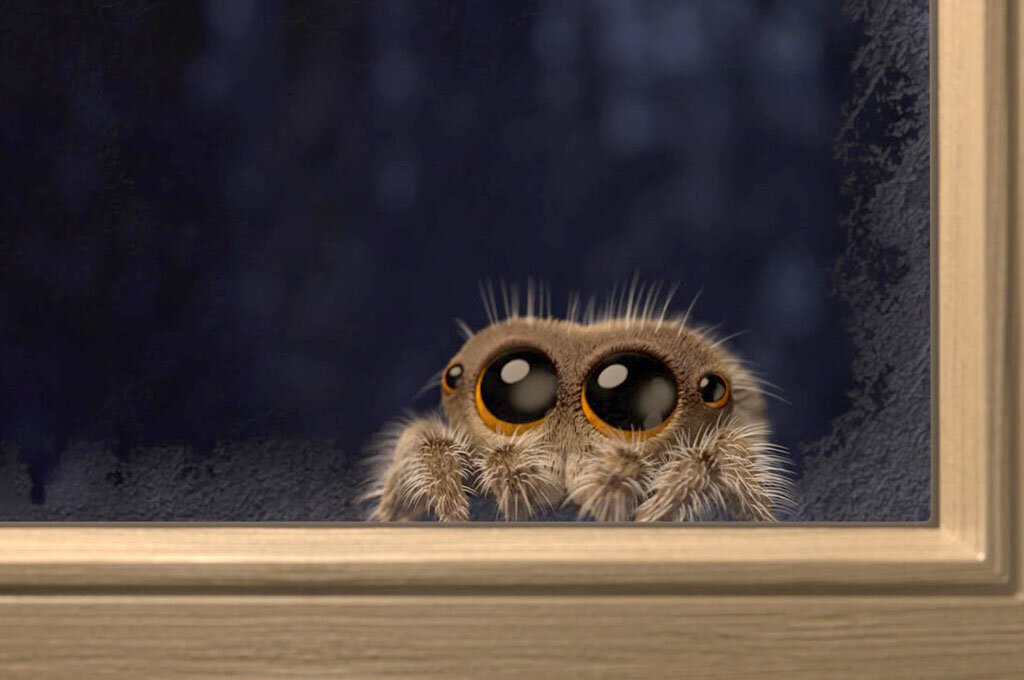 Фотография взята из публичного источника в интернете.