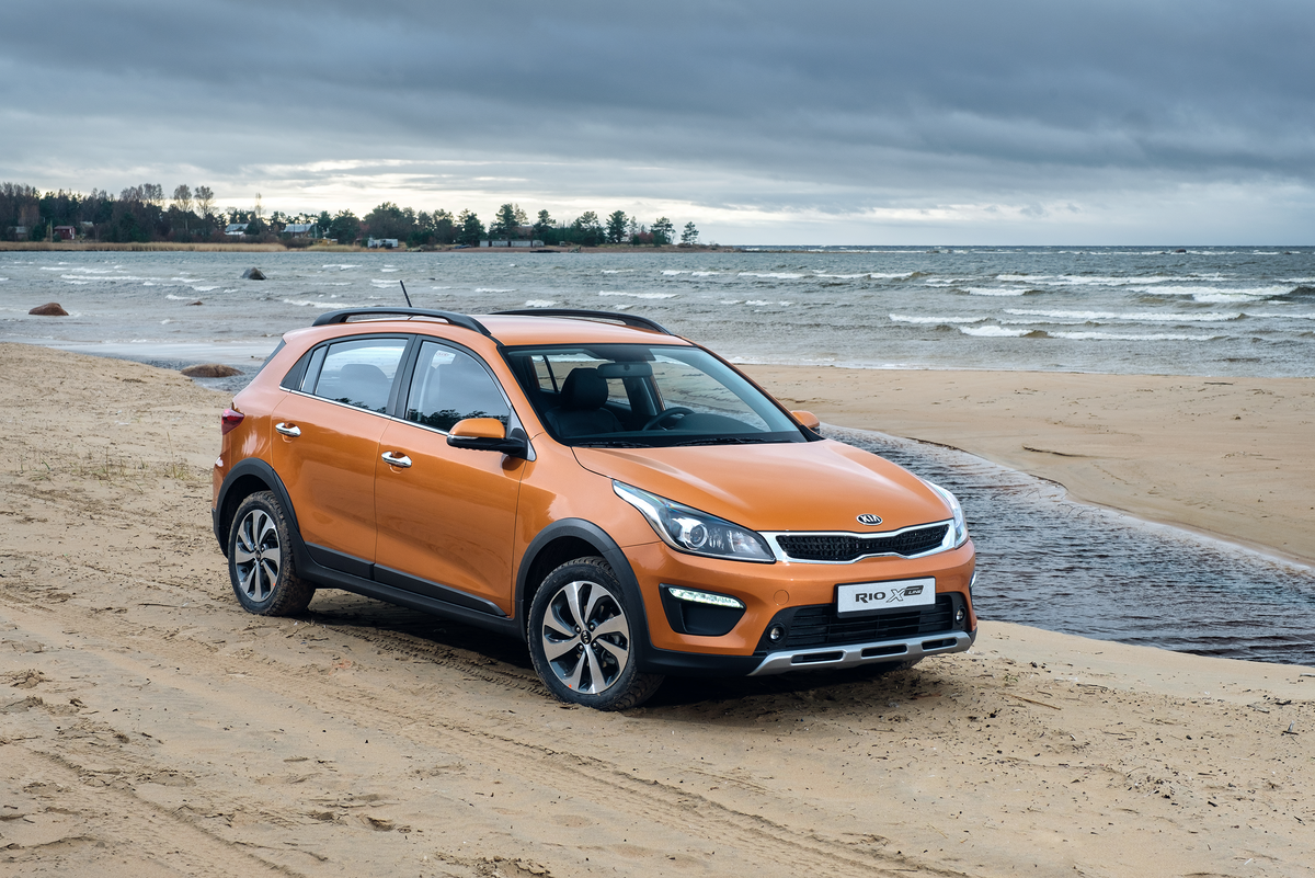 Мокрым может быть грунт у водоемов или рек в любое время года