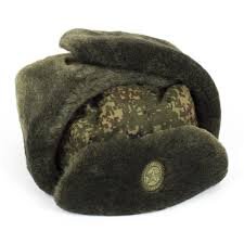 По рассказу - нечто подобное (а может именно то самое) - шапка от комплекта формы ВКБО