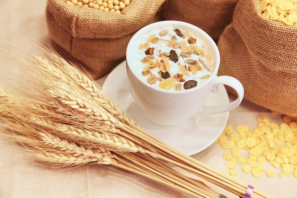 Image from https://pixabay.com/photos/cereal-food-grain-healthy-fibres-563796/