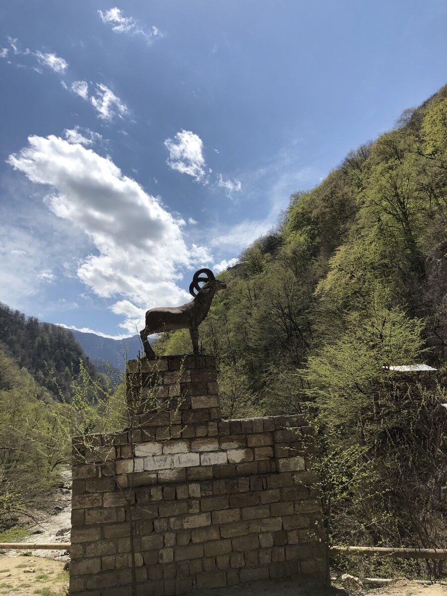 Барашек где-то в горах