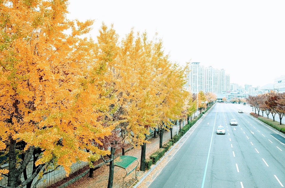 https://cdn.pixabay.com/photo/2017/03/27/15/18/autumn-2179340_960_720.jpg