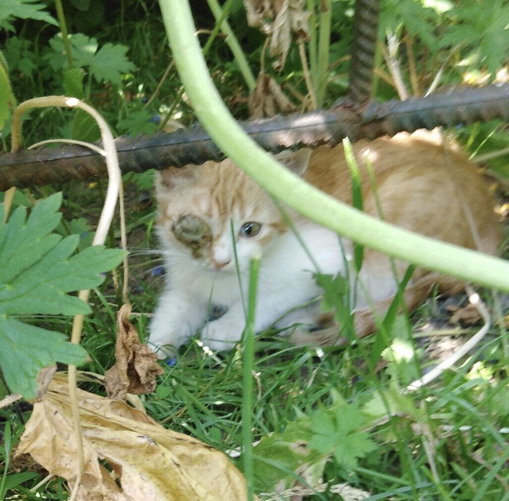 Первое фото, которое прислала знакомая...