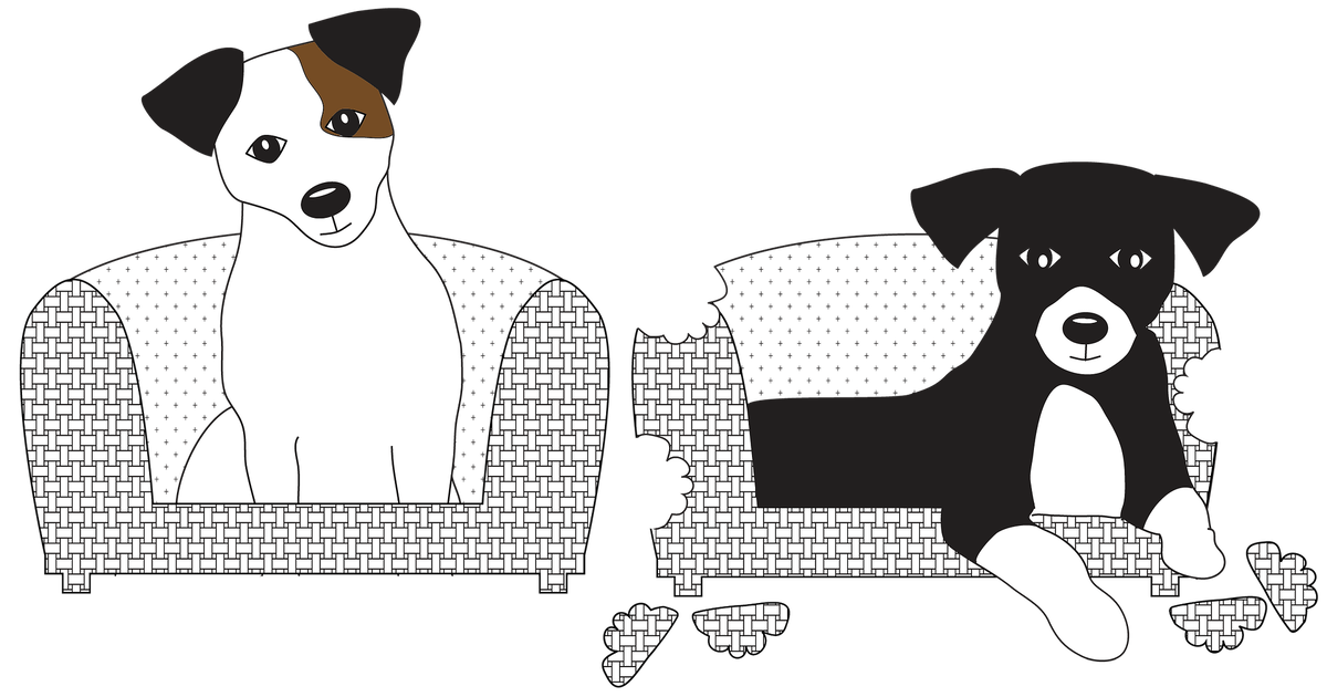 https://pixabay.com/ru/illustrations/%D0%B4%D0%B6%D0%B5%D0%BA-%D1%80%D0%B0%D1%81%D1%81%D0%B5%D0%BB-%D1%81%D0%BE%D0%B1%D0%B0%D0%BA%D0%B0-%D0%B4%D0%B6%D0%B5%D0%BA-%D1%80%D0%B0%D1%81%D1%81%D0%B5%D0%BB-1996223/