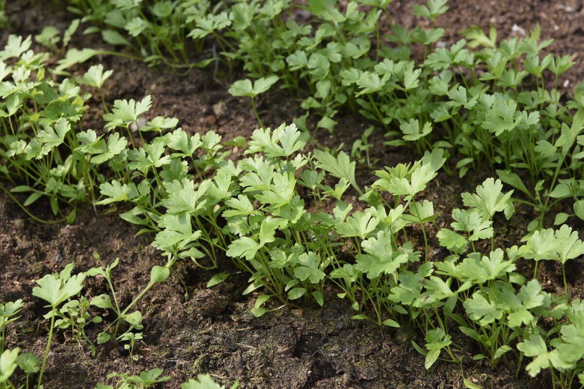 Источник: ekotec.com.ua