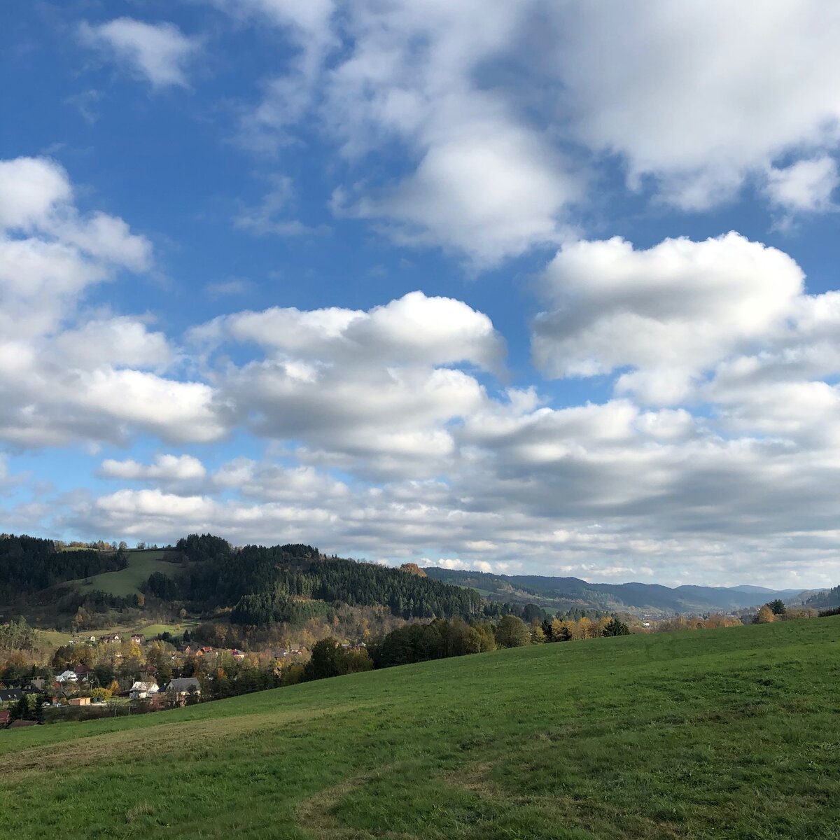 выезжали за пределы города Всетин